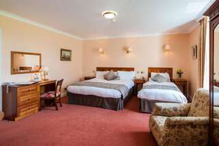 Отель Blarney Castle Hotel Бларни Двухместный номер с 1 кроватью-7